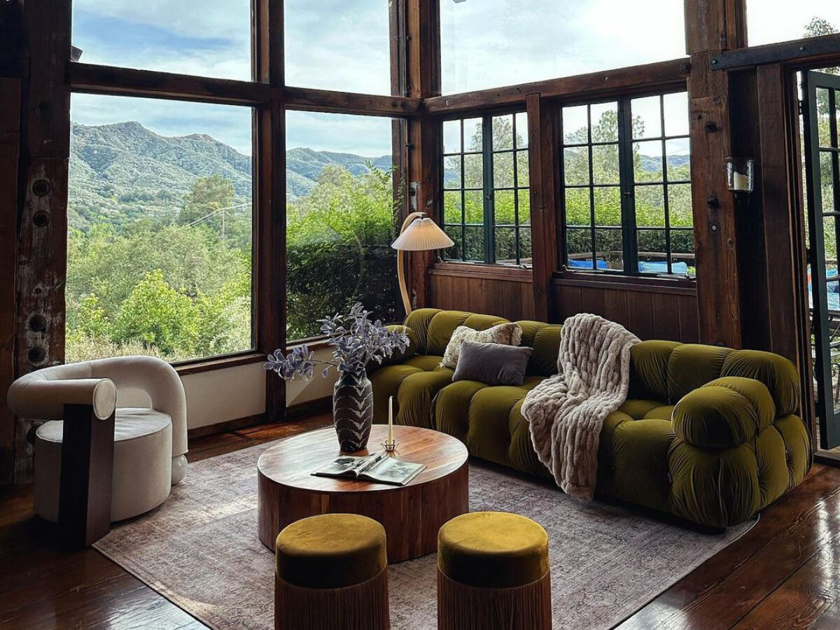 Living Room with Dark Tones