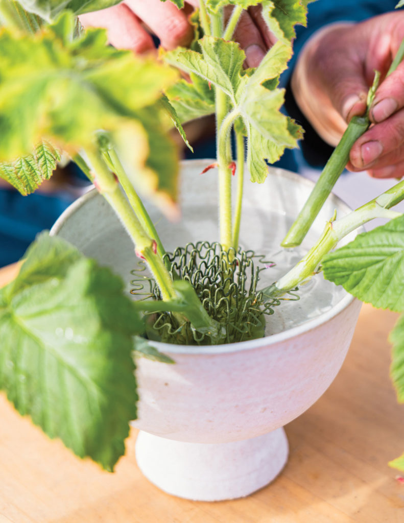 Frog Museum Wax Vase