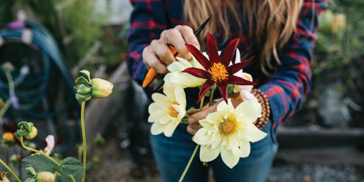 Emily Murphy Cuts Flowers