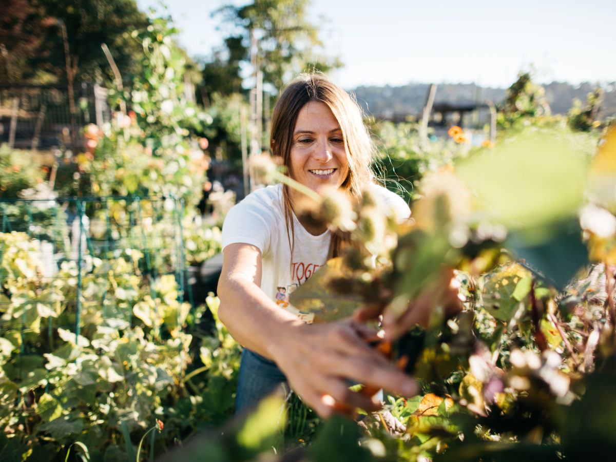 Emily Murphy Pruning
