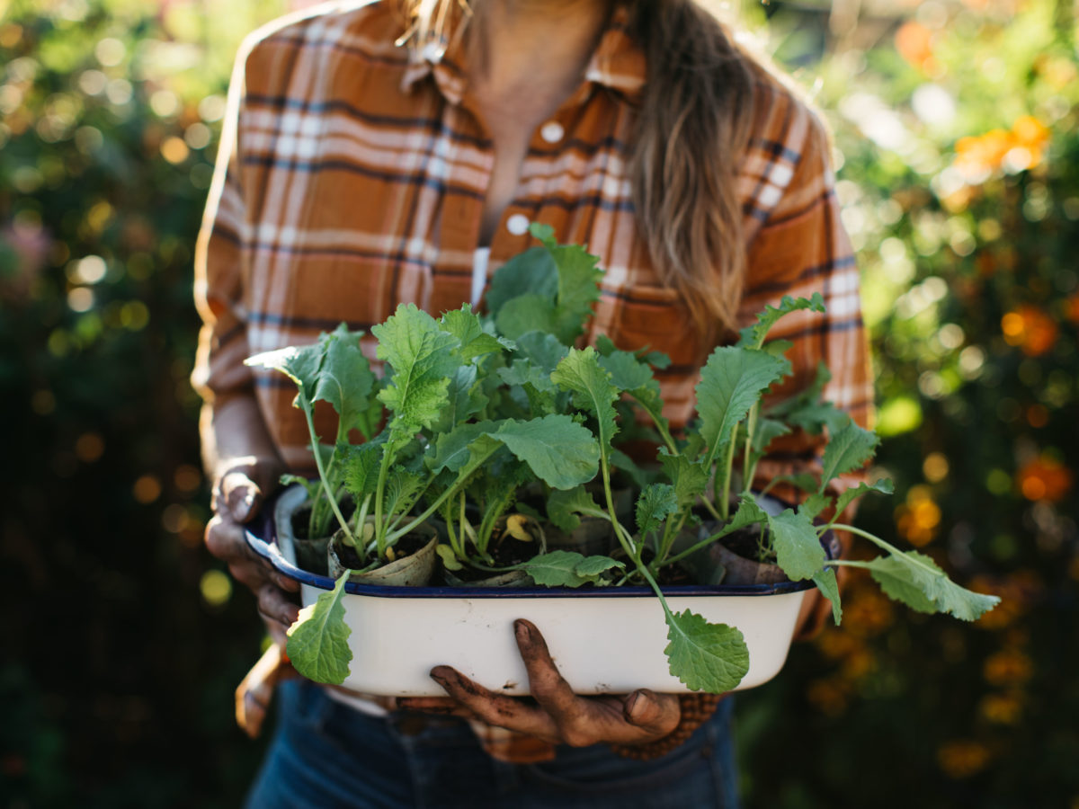 Emily Murphy with Starts