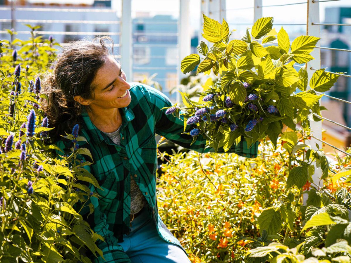 Community Garden Plot