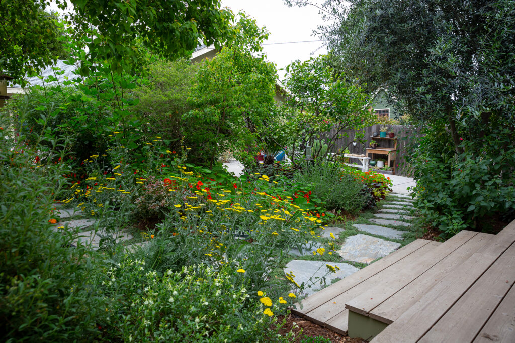 Garden in Eagle Rock House by Arterberry Cooke