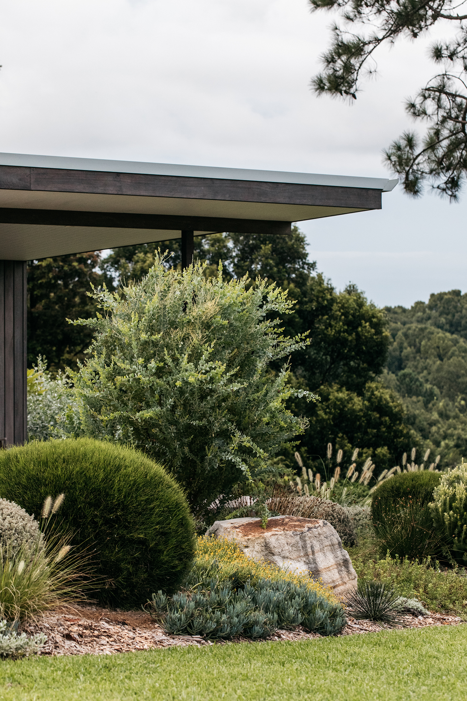 Garden Fig Landscapes