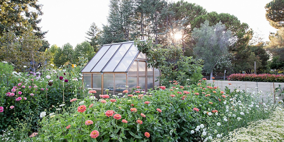 Garden Greenhouse