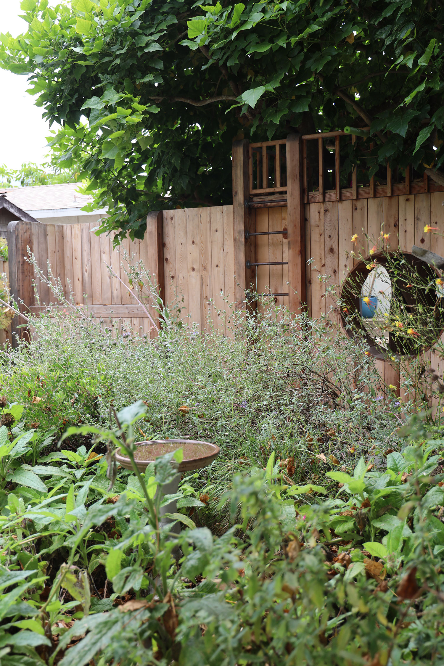 Garden by Morgan Ramirez