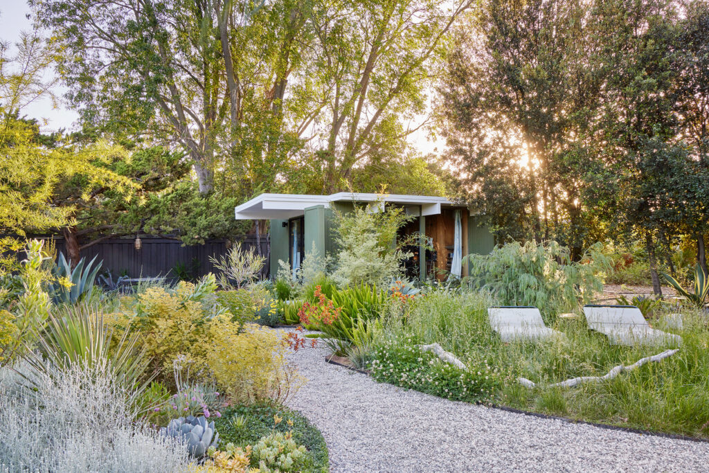 Garden Path from Designing the Lush Dry Garden