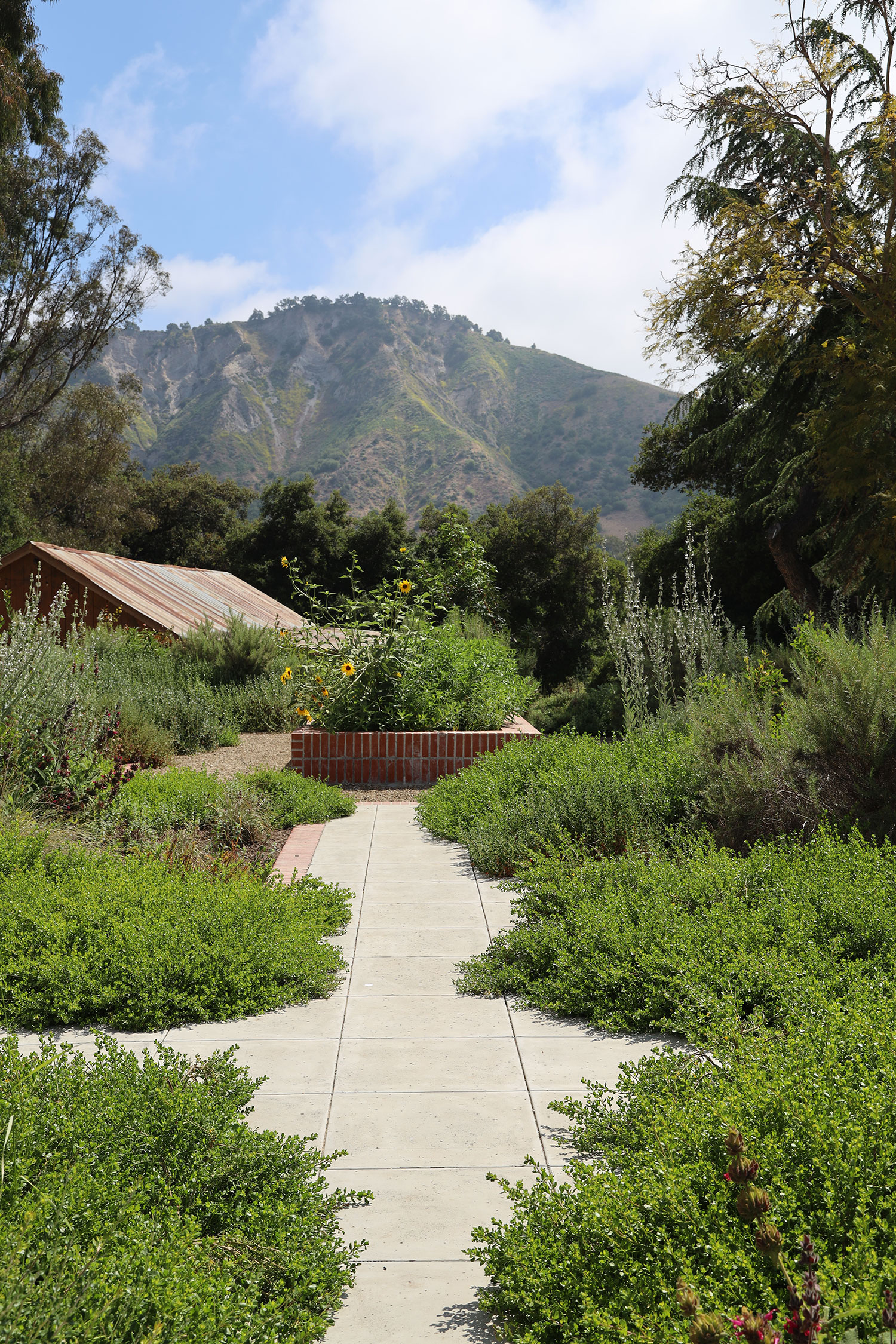 Garden Path by Morgan Ramirez