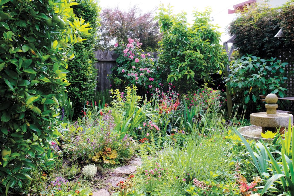 How to Create a Summer Garden That Smells Amazing