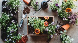 Garden Tools and Prep