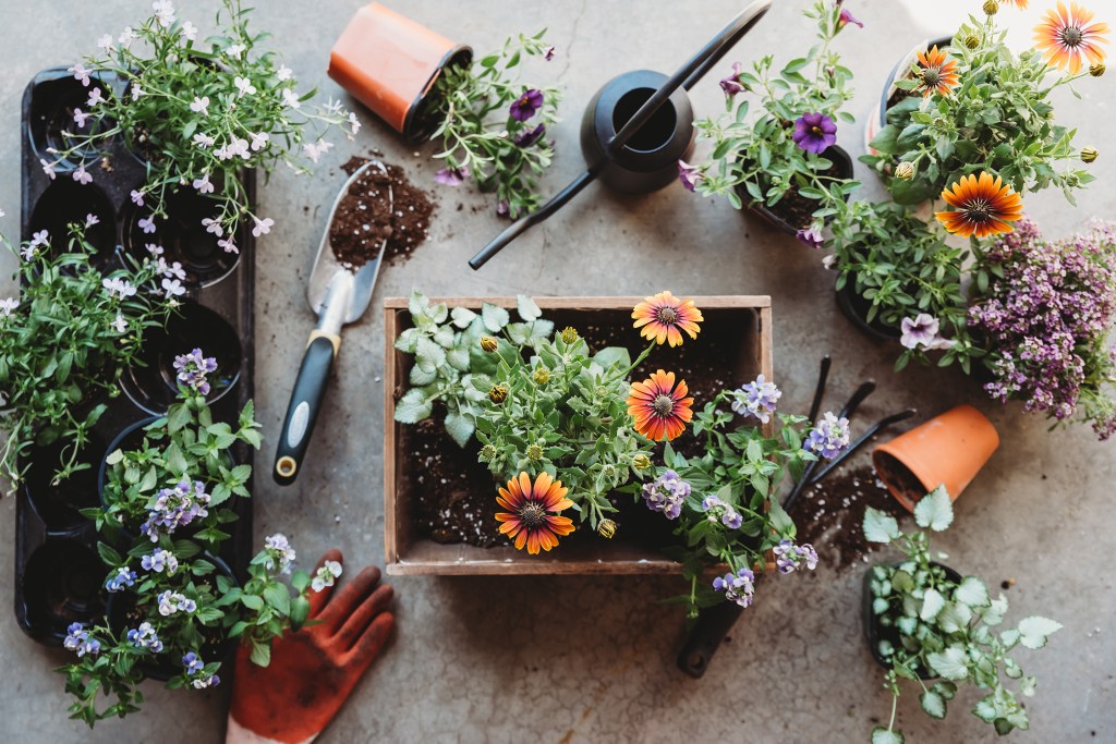These Apps Will Help You Become a Better Gardener