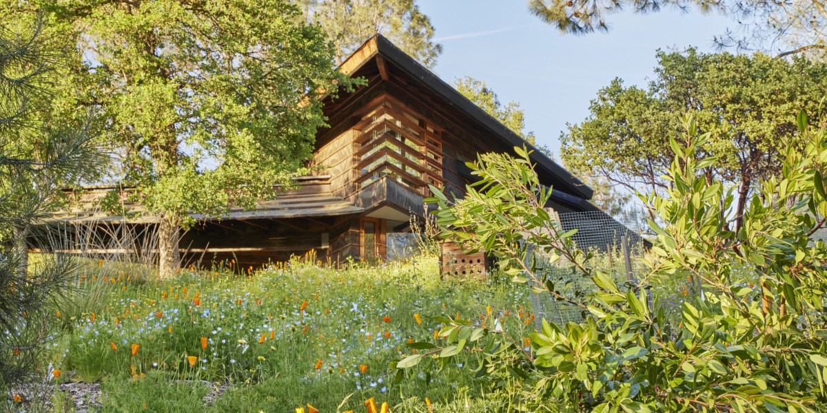 Terremoto's Coarsegold Project