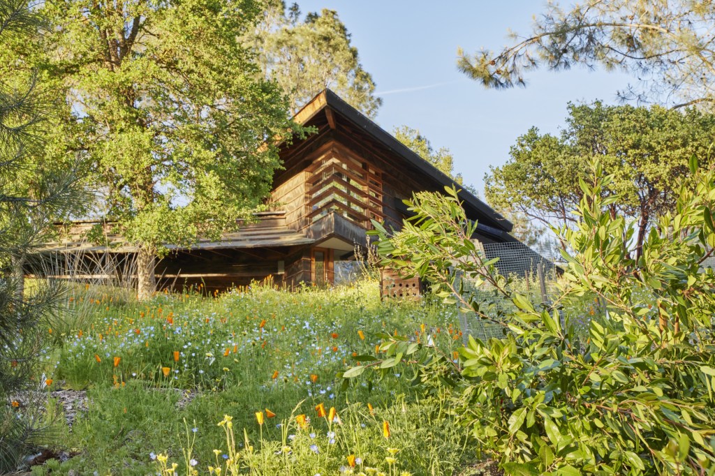 The 10 Garden Trends That Will Be Huge in 2025