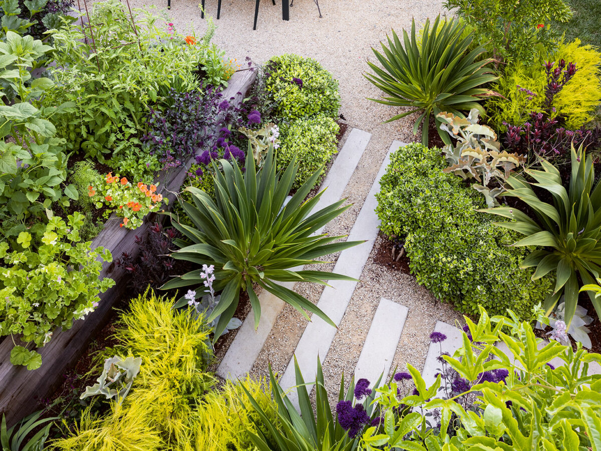 Garden Wonderland Color