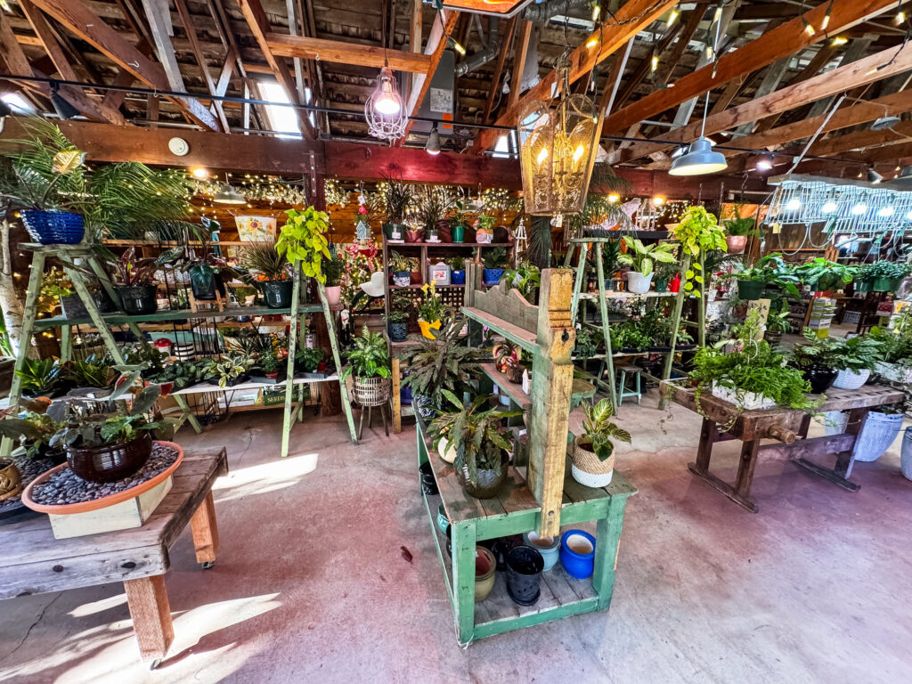 Cambria Nursery Interior