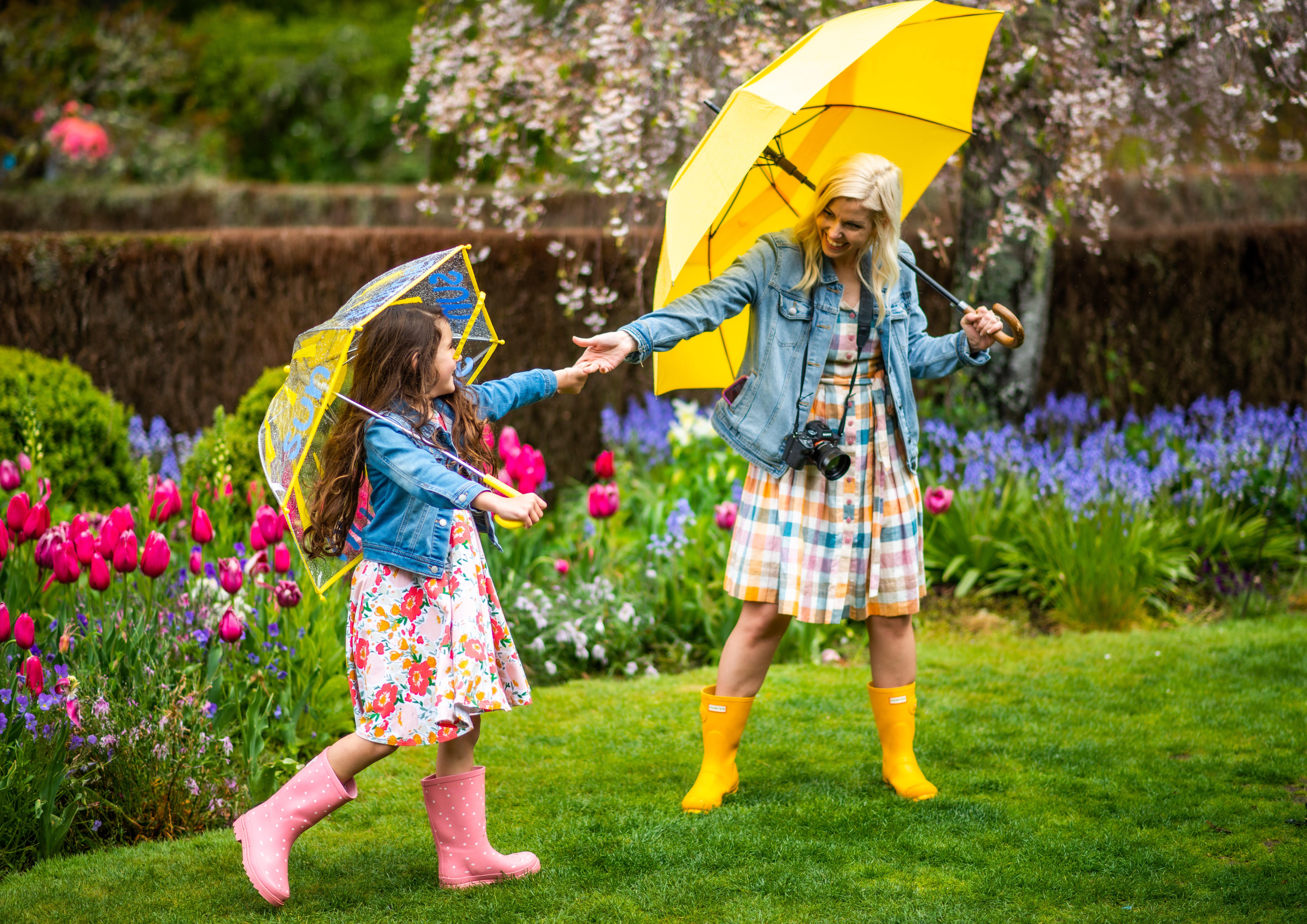 cherry-blossoms-and-tulips-bloom-in-the-spring
