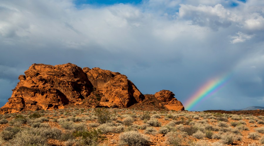 gold-butte-national-monument-nv