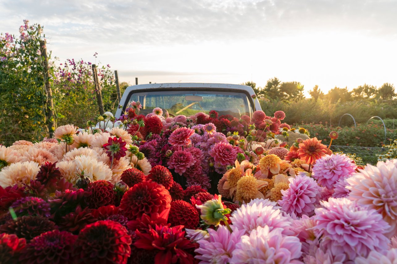 These New Floral Retreats Are the Bloom-Based Vacations of Your Dreams