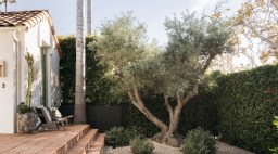 Gravel Floors in Melrose Backyard