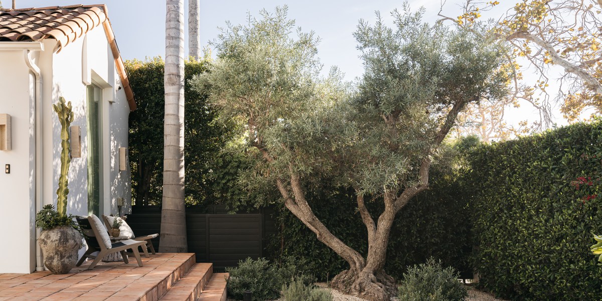 Gravel Floors in Melrose Backyard