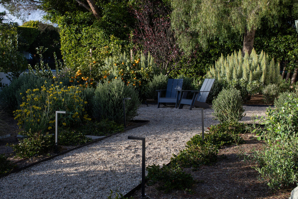 Gravel Pathway Wild Canyon Landscapes