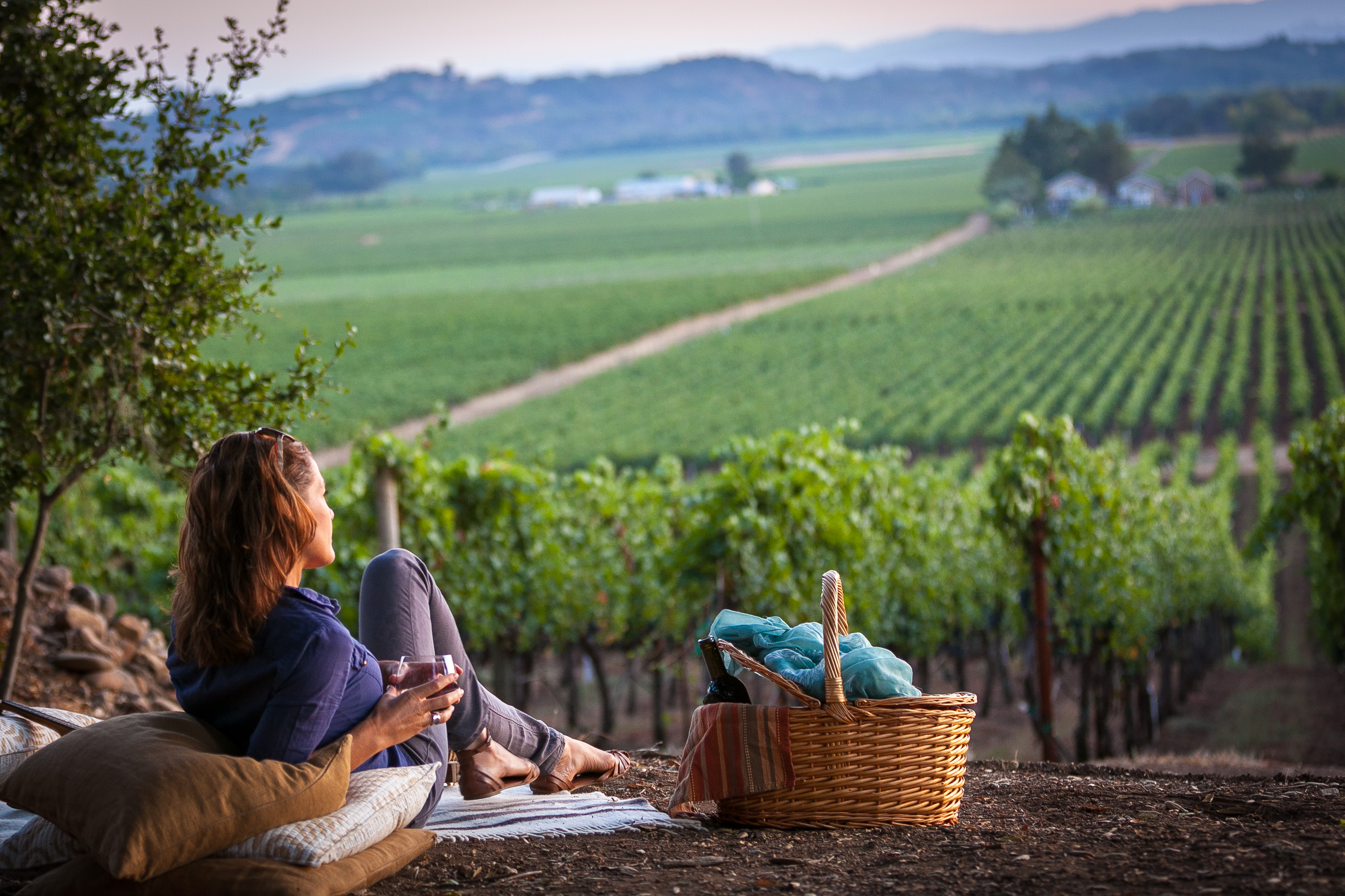 overlooking-alexander-valley