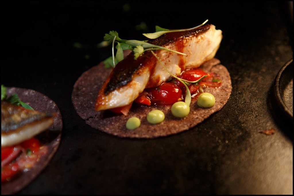 The Ultimate Fish Taco, According to Southern California’s Best Modern Mexican Chefs