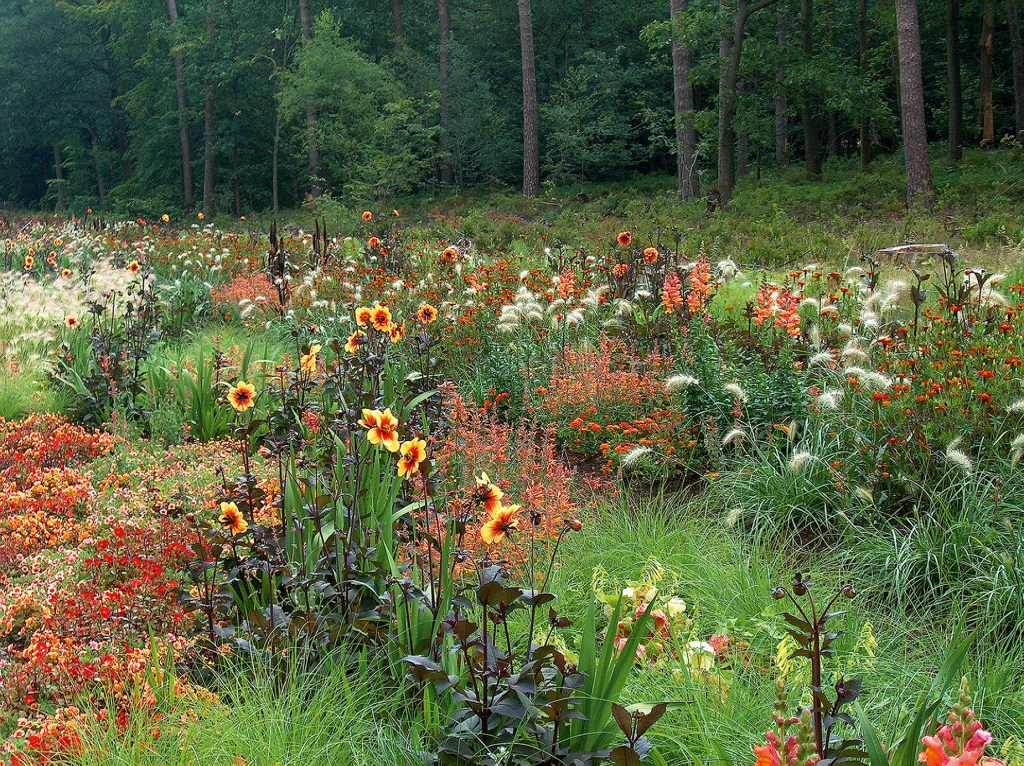 Fall Is Bulb Planting Season—Here’s How to Guarantee a Successful Flower Garden