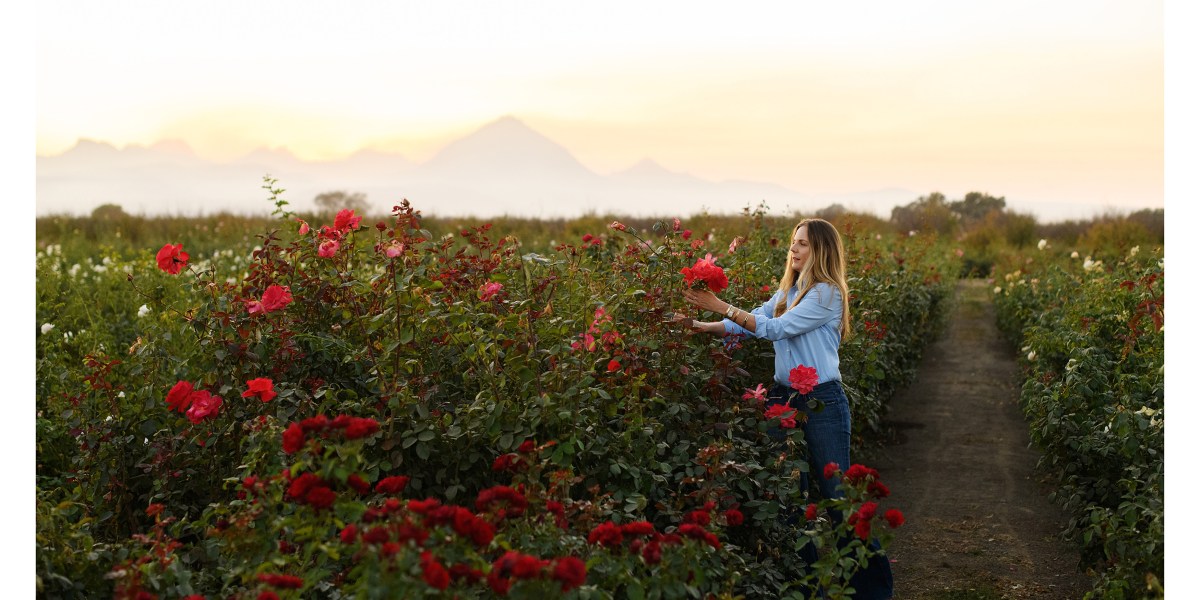 Flower farmer Felicia Alvarez