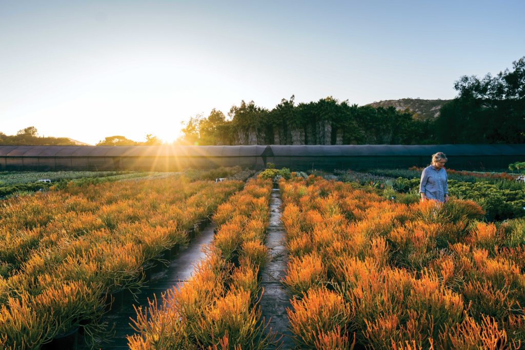 Flora Grubb in Her Garden