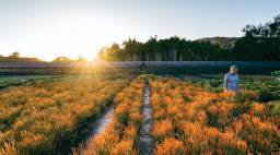 Flora Grubb in Her Garden