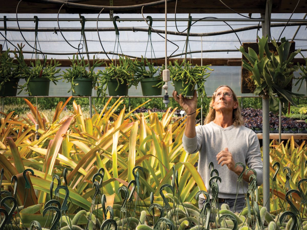 Gregg Opgenorth in the greenhouse