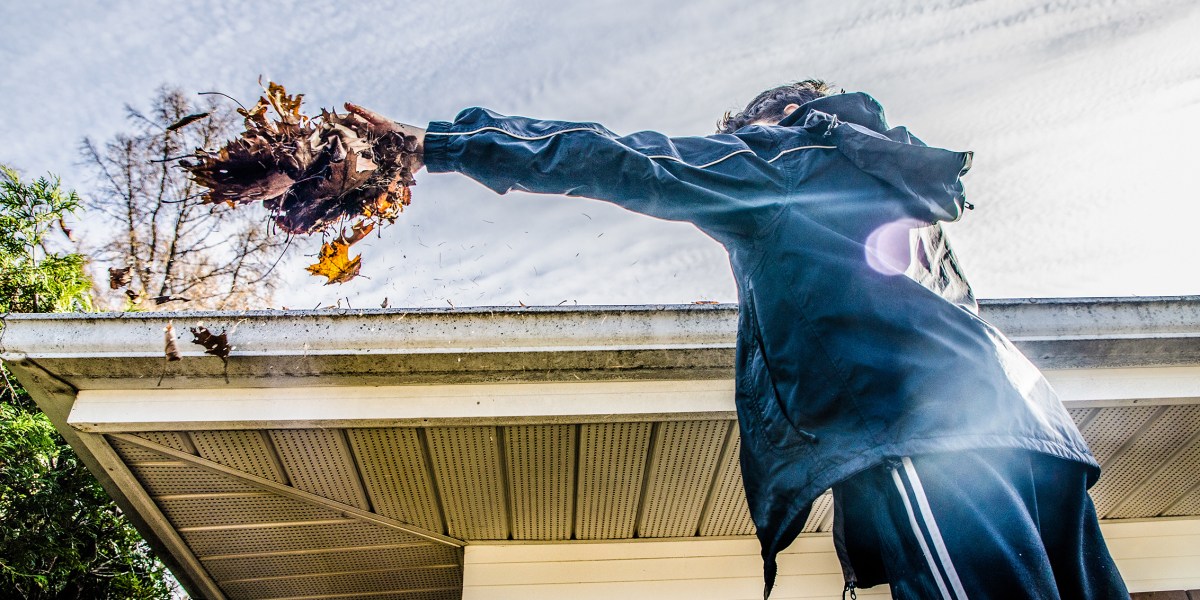 Gutter Cleaning