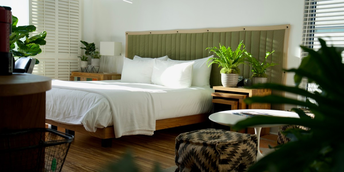 h2hotel room in Healdsburg with houseplants