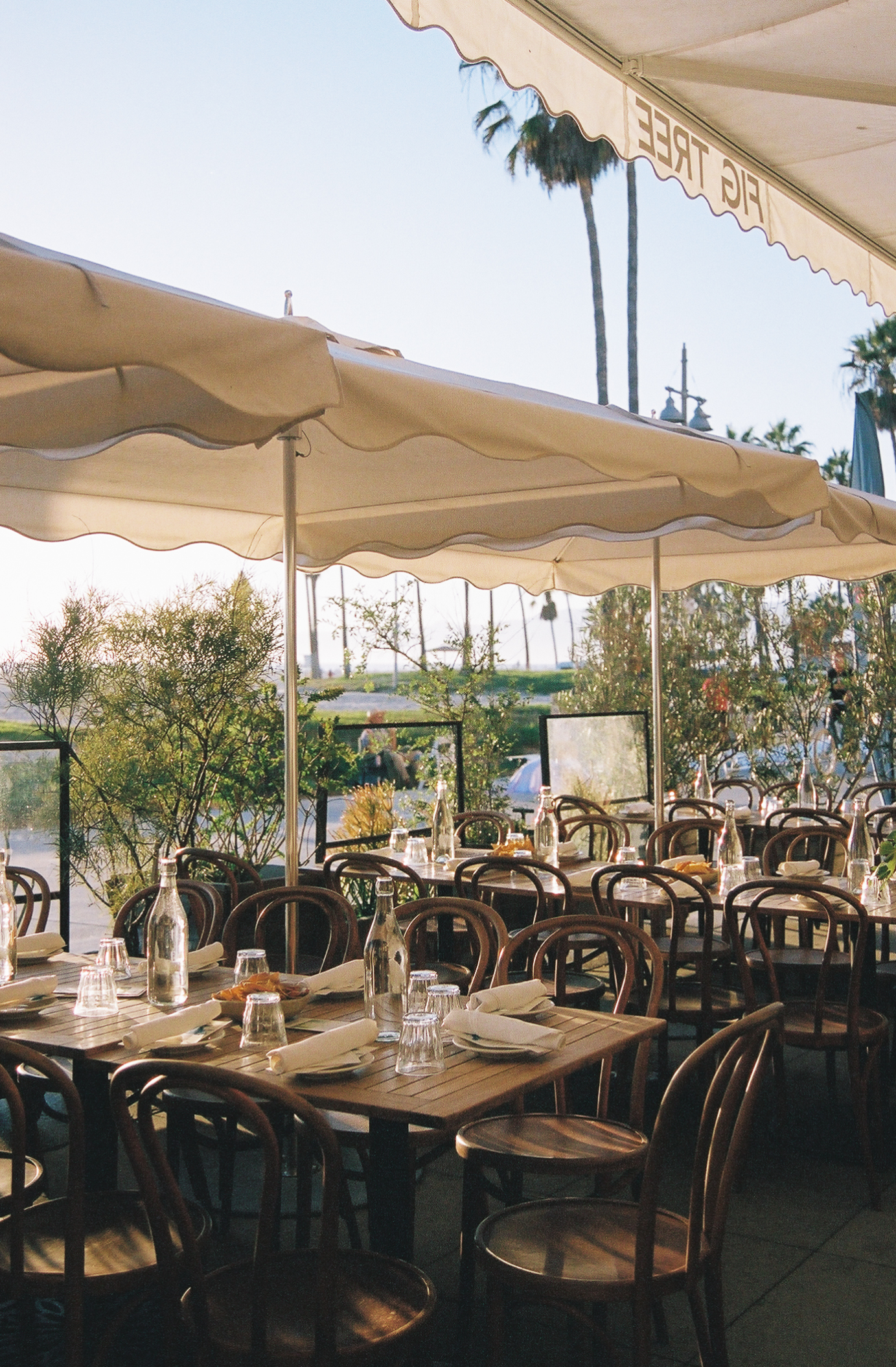 outdoor-dining-at-fig-tree