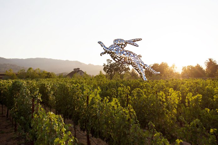 Hall Wines Art Rabbit