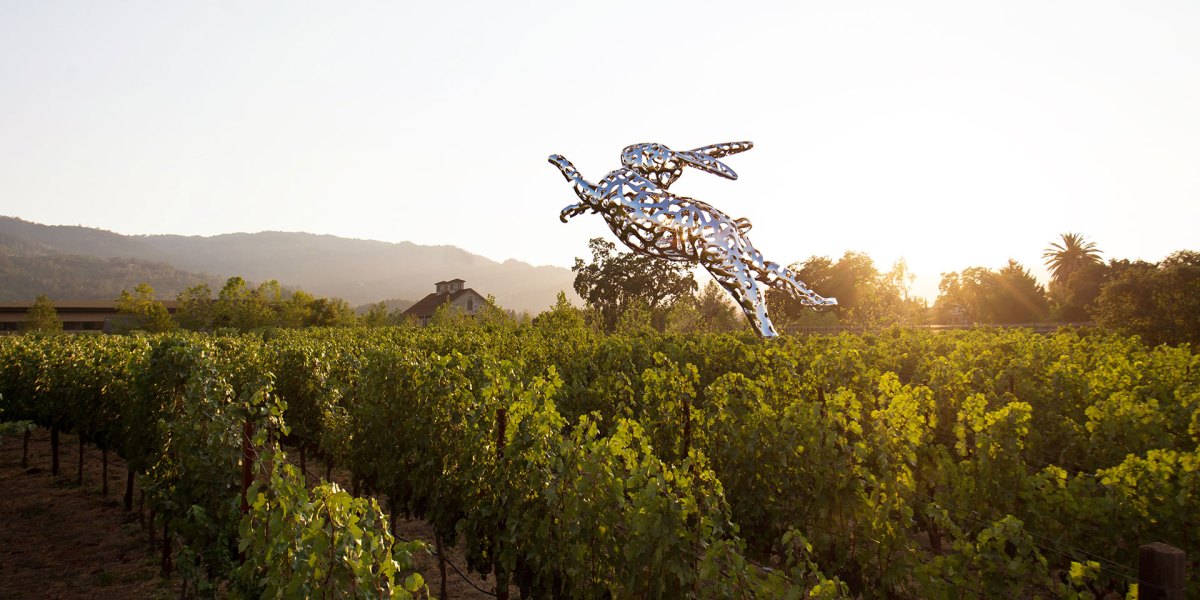 Hall Wines Art Rabbit