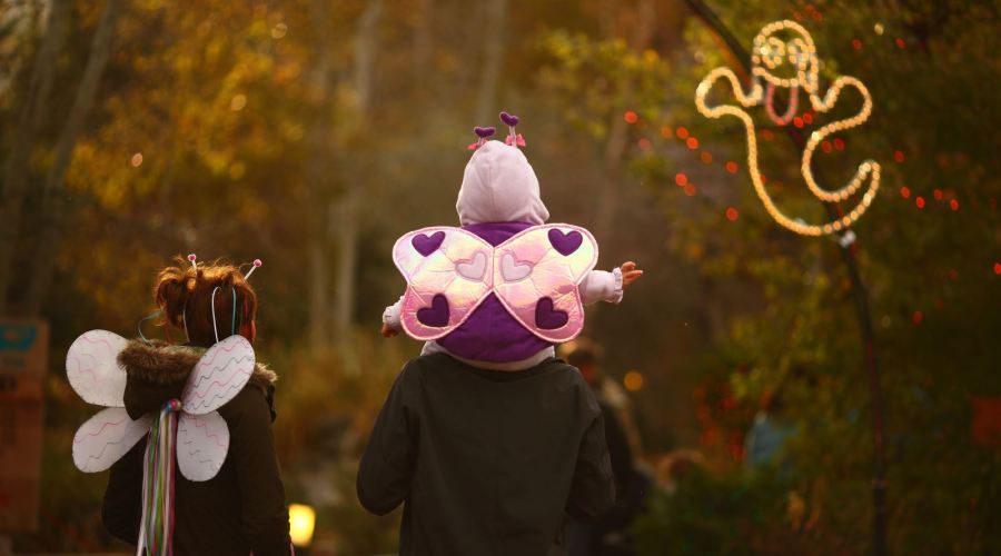 boo-at-the-zoo-idaho-falls-id