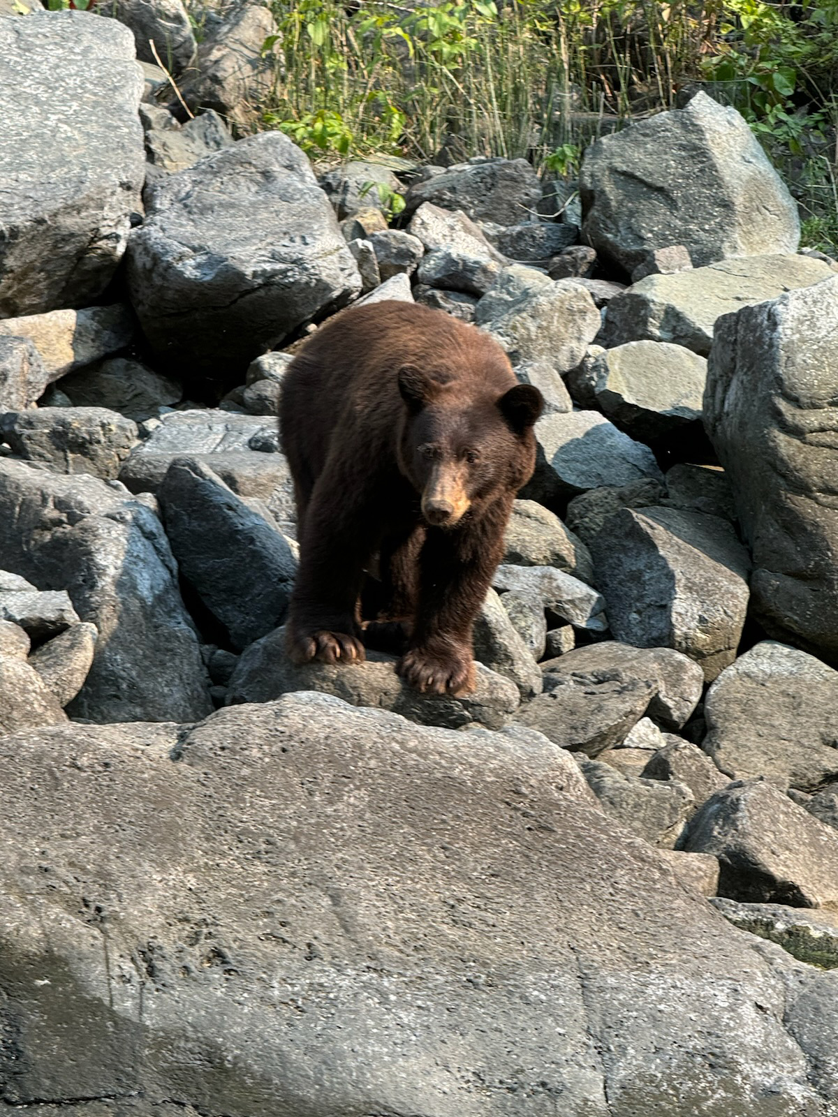 Hammer Down River Excursions