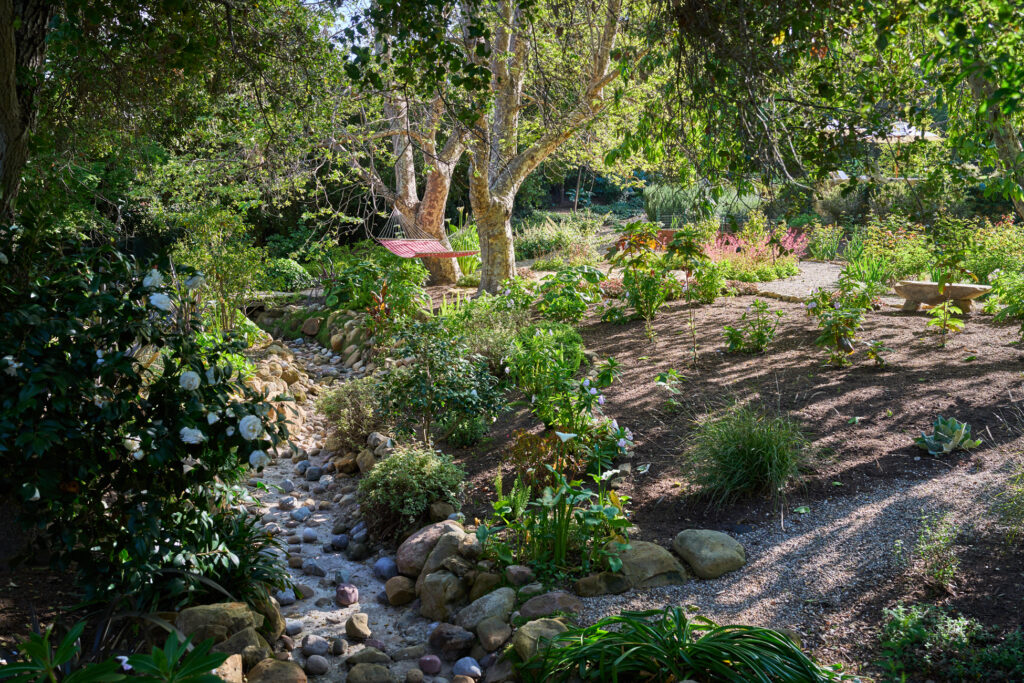 Hammock Creek Native Plants