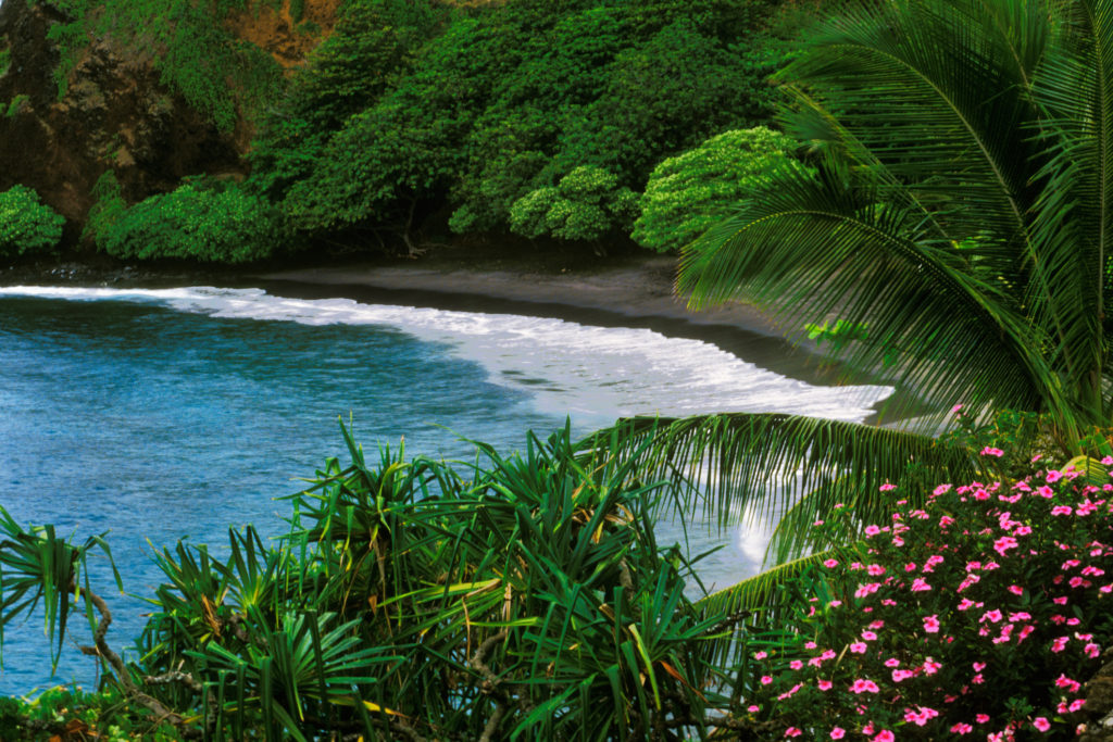 Hamoa Beach near Hana on Maui in Hawaii.