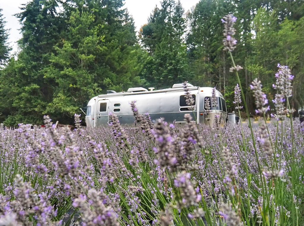 Harvest Hosts Paradise Village Ashford Washington