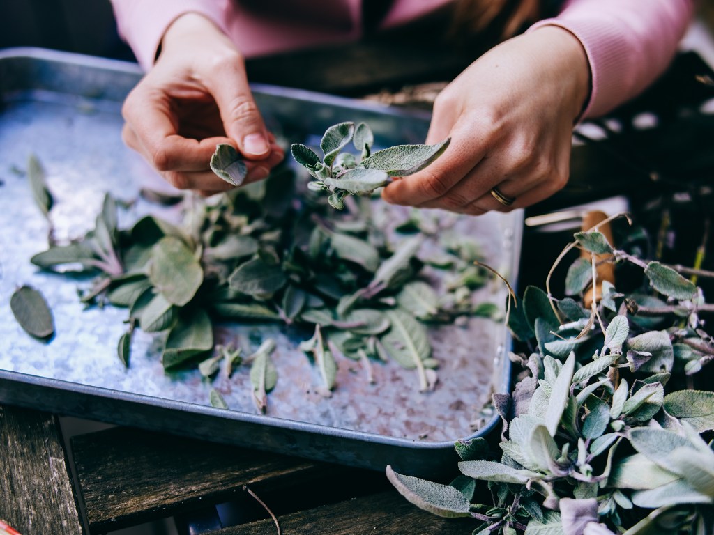 This Might Be the Best Way to Preserve Your Garden Harvest