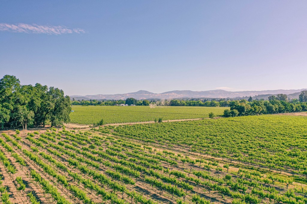 These Wine Country Destinations Offer So Much More Than Vino