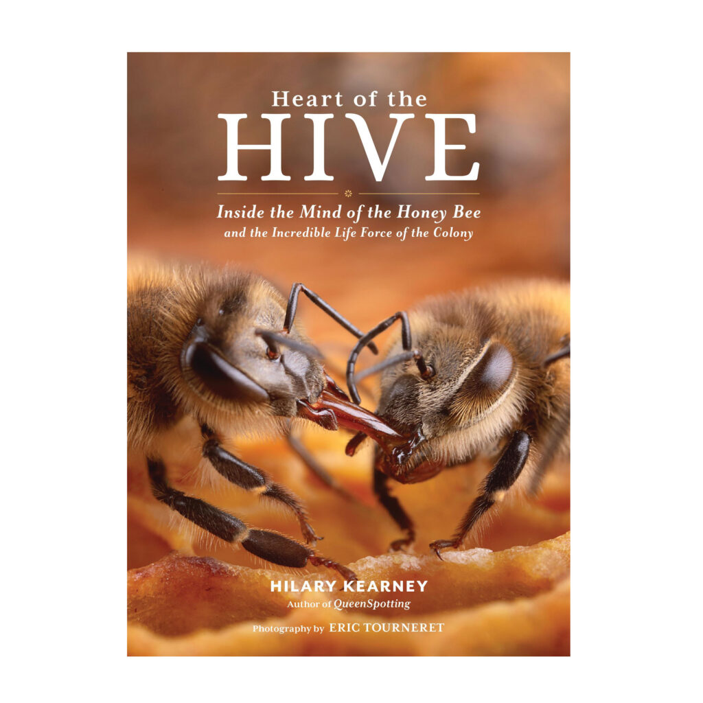 Heart of the Hive Book Cover