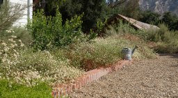 Heat Proof Garden Morgan Ramirez