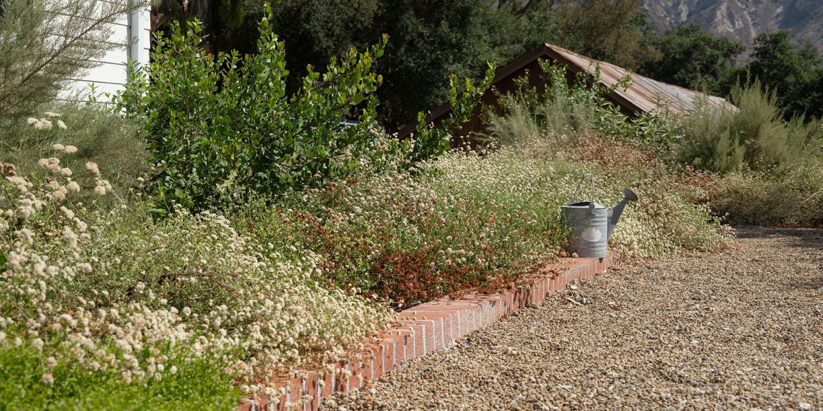 Heat Proof Garden Morgan Ramirez