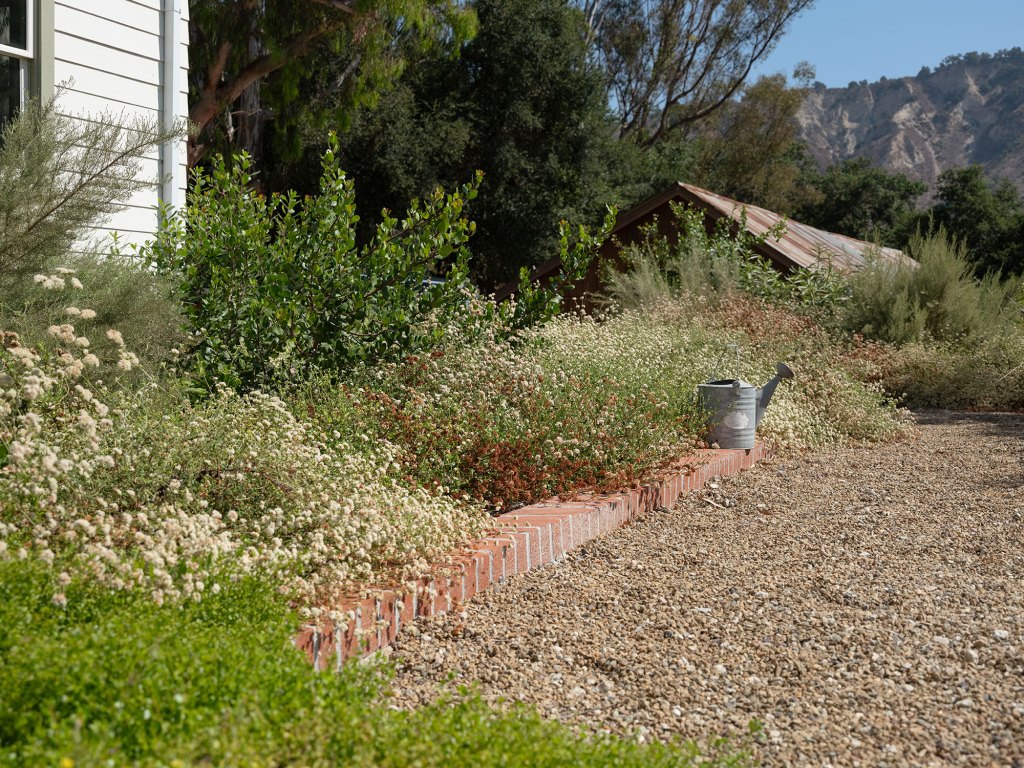 6 Ways You Can Heat-Proof Your Habitat Garden This Summer