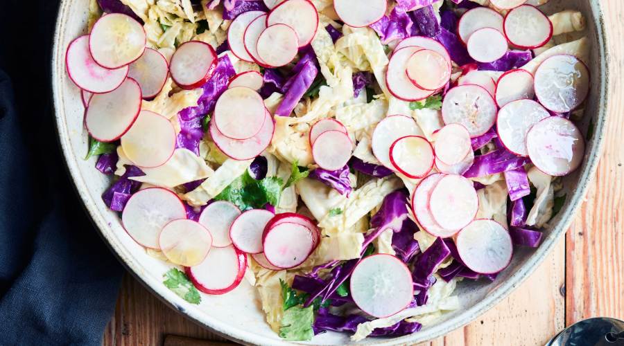 Cabbage Salad with Citrus Dressing and Radishes