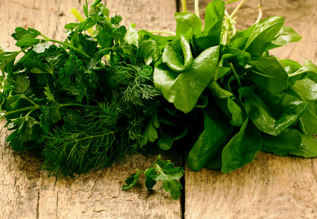 Herbs Sorrel Parsley Dill